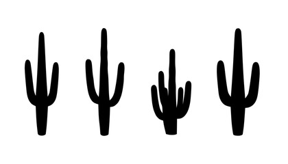Saguaro Cactus