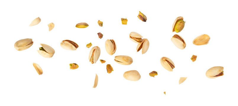flaying pistachio nut isolated