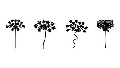 Queen Anne's Lace Flower