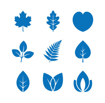 Collection of various blue leaf shapes and a heart on white background