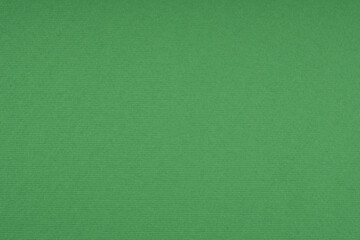 Green textured paper background with horizontal grain and matte surface color for nature or holiday card design