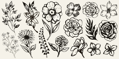 A collection of vintage style botanical floral sketches in black ink
