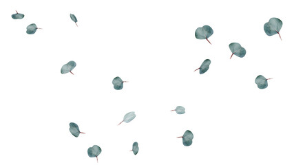 Floating eucalyptus leaves isolated transparent background 3D render © S_Designs