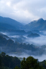 misty morning in the mountains, landscape with clouds