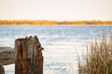 Wood post stands by the water with calm waves and reeds in the background during the late afternoon light © Nate.Rosso