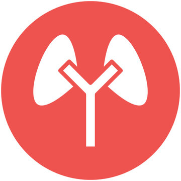 Kidney Function Icon