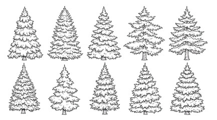 A group of christmas trees drawn in black and white