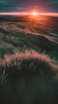 Majestic sunset over rolling hills and distant mountains, with warm golden light illuminating tall grass and flowering bushes in the foreground, creating a serene and dramatic natural landscape at dus