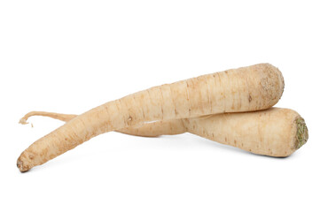 Parsley root, a root vegetable, isolated on a white background
