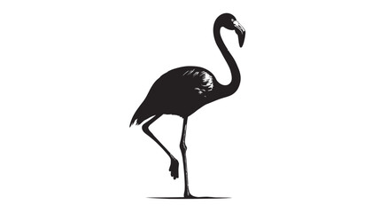 Fototapeta premium A silhouette of a flamingo standing on one leg against a white backdrop