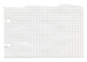 White grid checkered notebook journal paper piece. Blank math sheet of  paper. Realistic collage scrapbook texture background.