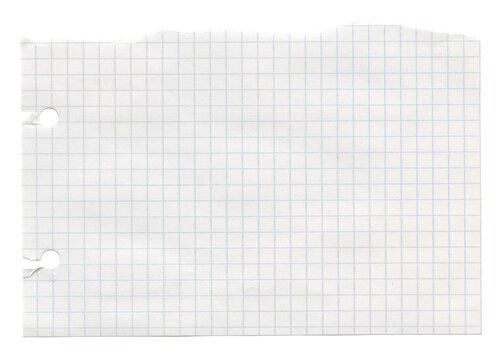 White grid checkered notebook journal paper piece. Blank math sheet of  paper. Realistic collage scrapbook texture background.