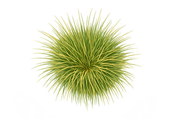 Top view of lush green plant on gradient background creating nature's balance