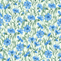Fototapeta premium Cornflowers seamless pattern hand drawn with watercolor. Summer field flowers and herbs. Blue meadow florals. Design for textile, fabric, packaging