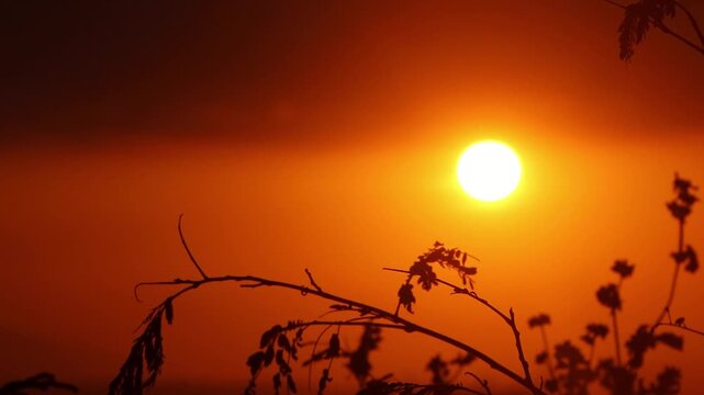 4K cinematic sunset b-roll of sun going down with silhouette bushes from on top of a mountain in Phan Thiet , Vietnam 