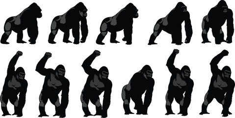 Powerful gorilla silhouette collection featuring massive silverback apes in various standing and aggressive poses isolated on white background for wildlife vector design projects. © Mahabuba