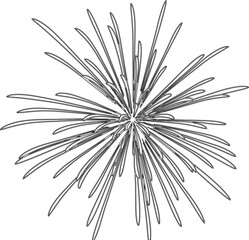 Fototapeta premium Simple line art outline drawing of a single bursting firework explosion creating radiant symmetrical streaks against a clean white background for design.