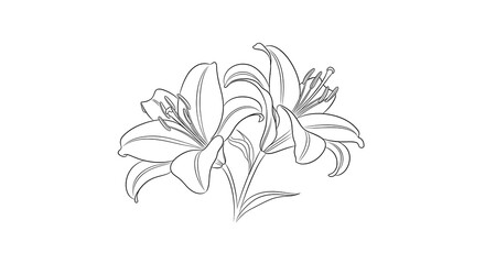 A beautiful plant drawn in black