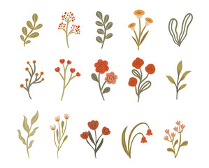 simple flat organic flower floral arrangement collection