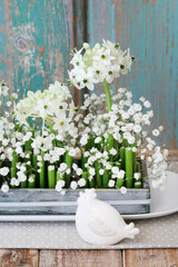 Florist at work: woman shows how to make Easter floral table decoration with arabian star flowers and gypsophila paniculata twigs in simple wooden box. Step by step, tutorial.