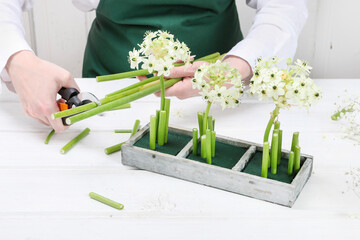 Florist at work: woman shows how to make Easter floral table decoration with arabian star flowers and gypsophila paniculata twigs in simple wooden box. Step by step, tutorial.