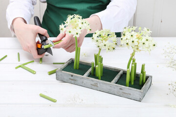 Florist at work: woman shows how to make Easter floral table decoration with arabian star flowers and gypsophila paniculata twigs in simple wooden box. Step by step, tutorial.