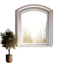 Interior scene of a window, plant on a black background
