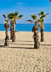 Sunny day over Alicante Beach.