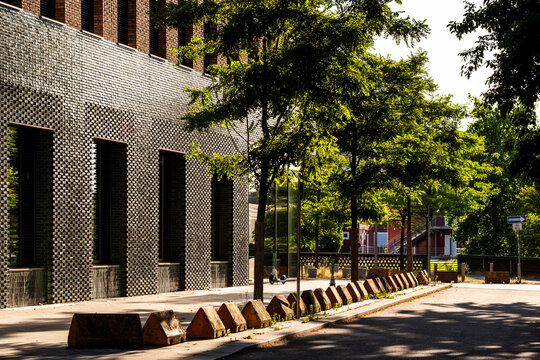 Empty urban street with modern architecture building facade beside trees where shadows fall across the sidewalk creating a quiet city perspective in daylight