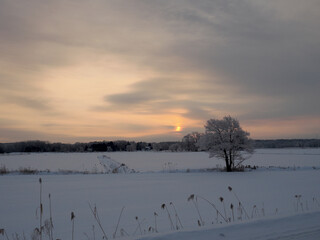 朝日が昇る雪原の風景
