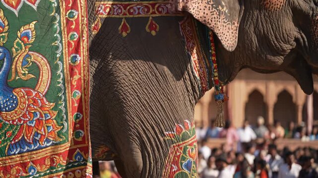 Close up of a richly decorated elephant adorned with a vibrant green fabric featuring a blue peacock motif during a sunny outdoor daytime festival procession with a crowd of people in the background