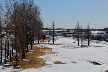 雪解けする河川敷　埼玉県荒川河川敷