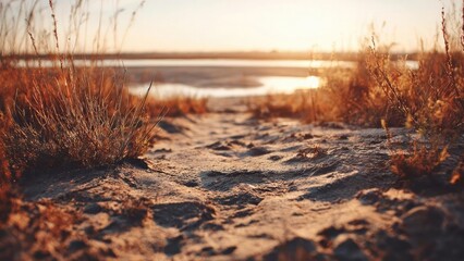 Naklejka premium Golden sunset over a sandy dune path with tall grasses and a distant calm body of water. Concept Golden Hour Sunset, Dune Path and Tall Grasses, Still Water and Horizon, Serene Coastal Landscape