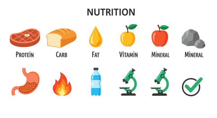 Illustration depicting key nutrition components and related concepts
