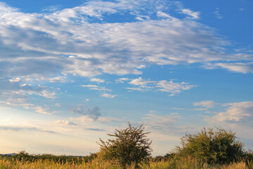 Paysage de Namibie au lever du jour