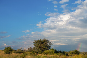 Obraz premium Paysage de Namibie au lever du jour