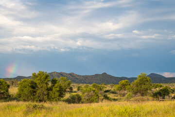 Fototapeta premium Paysage du centre de la Namibie