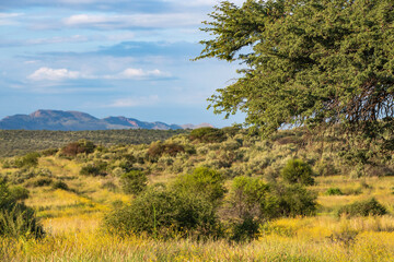 Paysage du centre de la Namibie