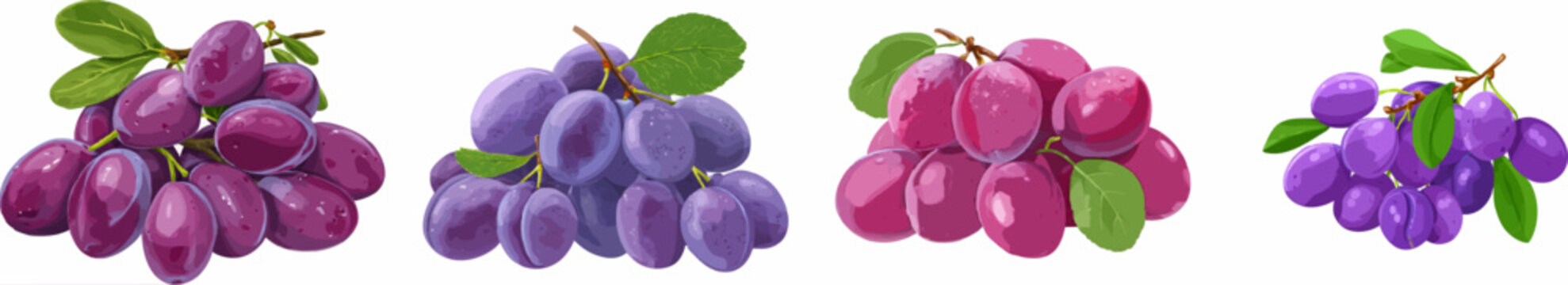 Vibrant Purple Damson Plums, Fresh and Juicy, Ready for a Tasty Snack