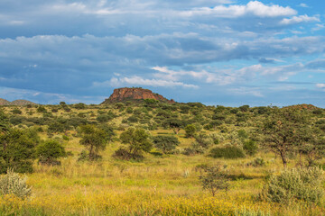 Fototapeta premium Paysage du centre de la Namibie