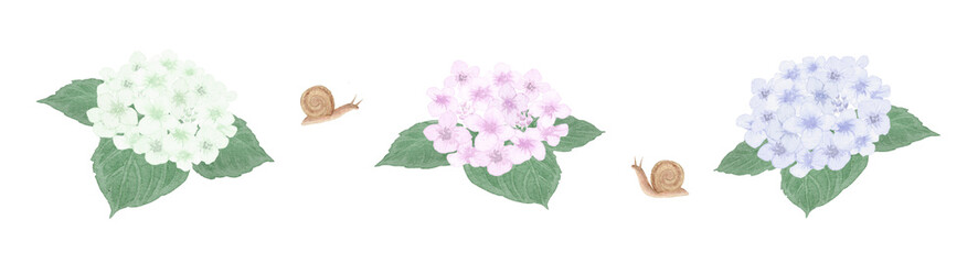 Watercolor hydrangea and a snail set-300dpi- © URU