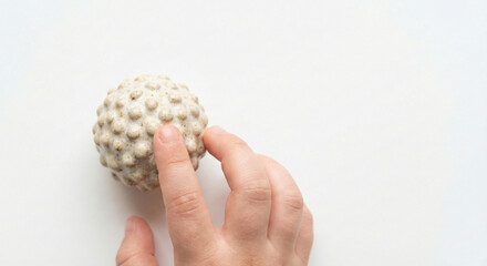 Child's hand touching rubber massage ball for sensory stimulation and hand rehabilitation