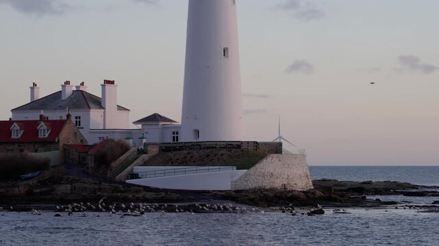A detailed close-up of the weathered stone base of St Mary&rsquo;s Lighthouse in Whitley Bay. Seagulls rest on the rocky foreshore