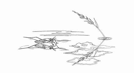 Two water striders on a calm pond with reeds reflected in the water