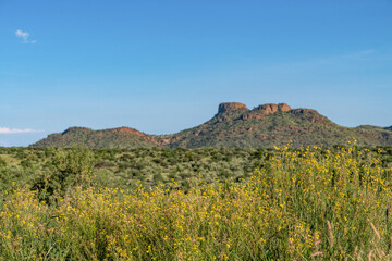 Fototapeta premium Paysage montagneux du centre de la Namibie