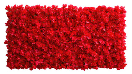 A vibrant red flower wall with a png transparent