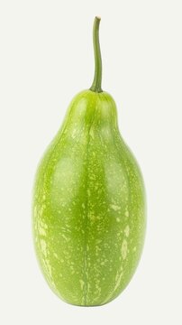 Indian Tinda Apple Gourd Isolated on White Background for Premium Vegetable Food Object