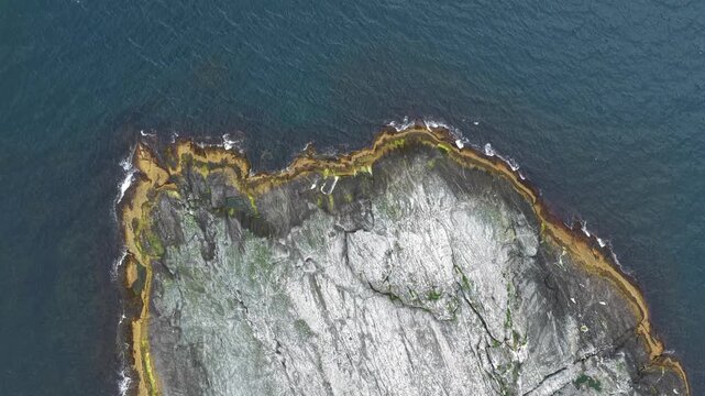 Aerial, top down view, bird view, slow forward drone flight, above husoy island. Rocky coastline with small waves Small island, some algae growing. Some seagulls flying below.