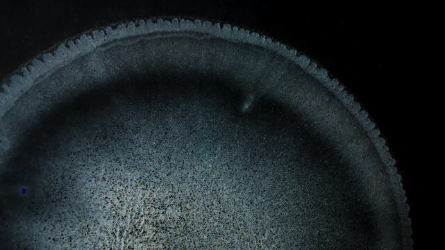 Macro shot of mixing substances creating patterns in dark atmosphere