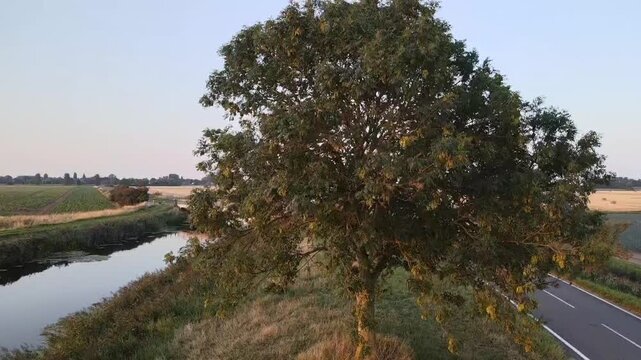 Drone tilt up shot revealing quiet Cotswolds countryside with canal, rural road, open farmland, trees, and evening sky showing peaceful English landscape and natural scenery